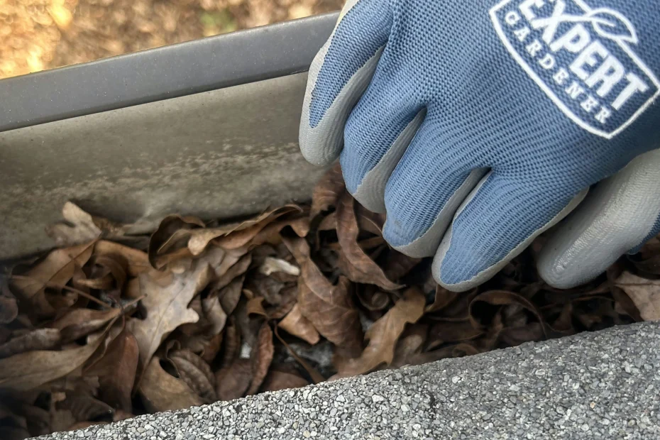 Gutter Cleaning Owings Mills