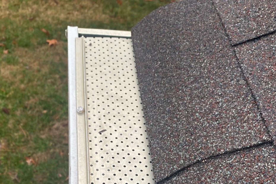 Gutter Cleaning Owings Mills