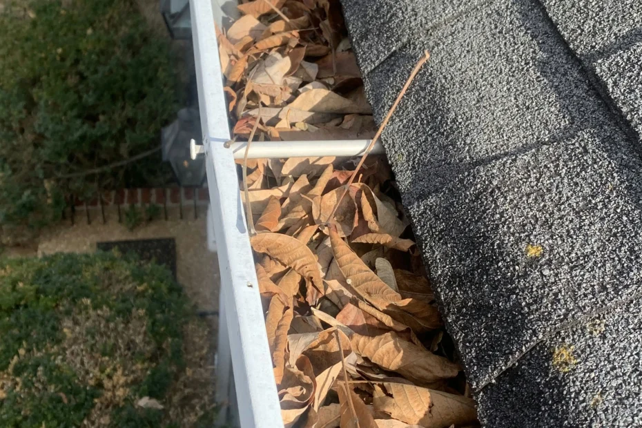 Owings Mills Gutter Cleaning